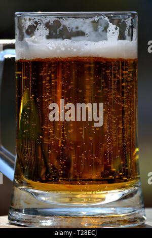 Mug verre de bière légère Banque D'Images