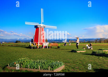 Clackamas Comté (Oregon) - 31 mars 2019 : Scène de Festival des tulipes de sabots de bois dans la saison du printemps Banque D'Images