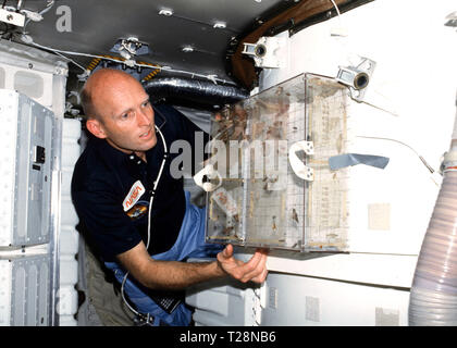 (22-30 mars 1982) --- L'astronaute C. Gordon Fullerton, STS-3, pilote examine l'expérience des étudiants (SE) 81-8-81-8 de vol d'insecte étude Motion scotché sur le sas sur l'arrière compartiment intermédiaire. Todd Nelson, un senior high school de Minnesota, a remporté un concours national de voler son expérience sur ce vol particulier. Les mites, les mouches, et les abeilles ont été étudiés dans un proche d'apesanteur. Banque D'Images