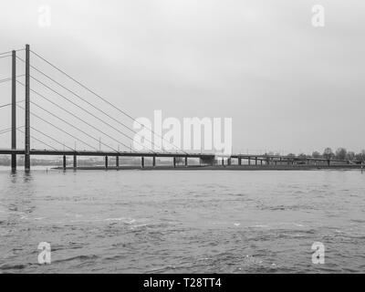 Düsseldorf, Allemagne, 23 mars 2019. Suspension moderniste pont sur le Rhin Banque D'Images