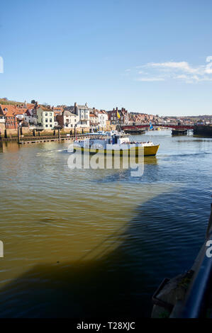 De l'été Reine bateau entrant dans le port de Whitby, North Yorkshire Coast, England, UK, FR. Banque D'Images