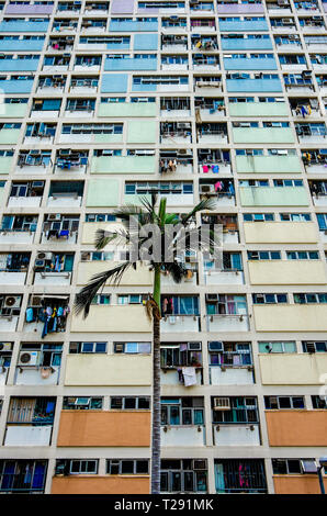 Choi Hung Estate, Hong Kong, couleur claire, l'immobilier, Instagram, Orange spot, conceptuel Banque D'Images