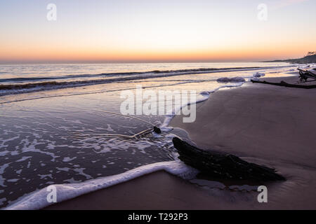 Le matin du lever du soleil à partir de la Big Talbot Island Floride avec vue sur l'océan et du bois flotté Banque D'Images