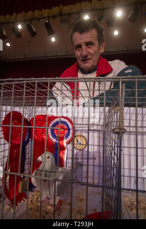 Norman Perry, de Port Talbot, Pays de Galles, en photo avec son pigeonnier qui a remporté le prix du champion suprême à l'assemblée annuelle de l'Association Colombophile Royal Show de l'année aux Winter Gardens, Blackpool. Cette exposition de deux jours a lieu chaque année, à Blackpool et attire 4000 inscriptions de pigeon fanciers de partout dans le monde. L'événement de deux jours a attiré 20 000 spectateurs et concurrents. Banque D'Images