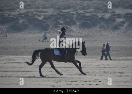 Broad Oak, Cornwall, UK. Le 31 mars 2019. Météo britannique. Il était chaud et ensoleillé pour la première journée de la saison estivale sur la plage de Rolvenden, aux cavaliers, promeneurs de chiens et les familles à tirer le maximum de la chaleur sur la fête des mères. Crédit : Simon Maycock/Alamy Live News Banque D'Images