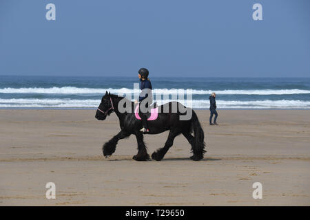 Broad Oak, Cornwall, UK. Le 31 mars 2019. Météo britannique. Il était chaud et ensoleillé pour la première journée de la saison estivale sur la plage de Rolvenden, aux cavaliers, promeneurs de chiens et les familles à tirer le maximum de la chaleur sur la fête des mères. Crédit : Simon Maycock/Alamy Live News Banque D'Images