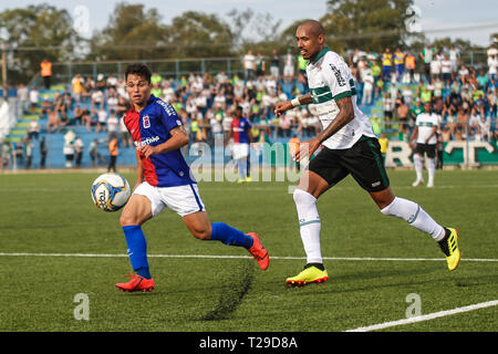 Curitiba, Brésil. Mar 31, 2019. Paranaense 019, le Coritiba x Paran Clube - Alan Costa Coritiba différends joueur offre avec Alesson Parana Clube dvd au cours de match au stade Couto Pereira pour le championnat de l'état 2019 Photo : Gabriel Machado/AGIF : Crédit AGIF/Alamy Live News Banque D'Images