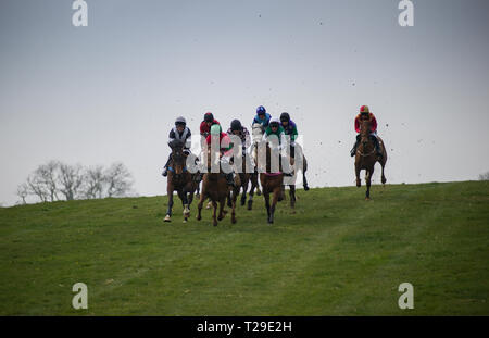 Cotley, blettes, Somerset, Royaume-Uni. Mar 31, 2019. Action de la course d'ouverture, le Barleymow Farm Shop Race restreinte, sur la fête des Mères, à la recherche de Cotley Point-to-Point réunion de courses. Crédit : David Partridge/Alamy Live News Banque D'Images