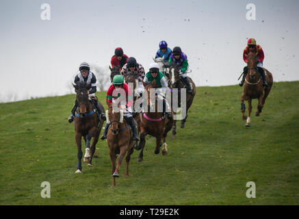 Cotley, blettes, Somerset, Royaume-Uni. Mar 31, 2019. Action de la course d'ouverture, le Barleymow Farm Shop Race restreinte, sur la fête des Mères, à la recherche de Cotley Point-to-Point réunion de courses. Crédit : David Partridge/Alamy Live News Banque D'Images