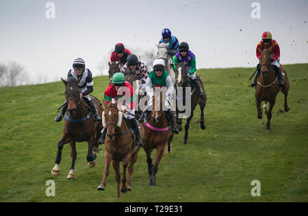 Cotley, blettes, Somerset, Royaume-Uni. Mar 31, 2019. Action de la course d'ouverture, le Barleymow Farm Shop Race restreinte, sur la fête des Mères, à la recherche de Cotley Point-to-Point réunion de courses. Crédit : David Partridge/Alamy Live News Banque D'Images