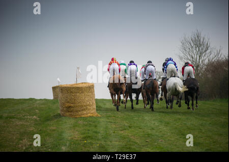 Cotley, blettes, Somerset, Royaume-Uni. Mar 31, 2019. Action de la course d'ouverture, le Barleymow Farm Shop Race restreinte, sur la fête des Mères, à la recherche de Cotley Point-to-Point réunion de courses. Crédit : David Partridge/Alamy Live News Banque D'Images