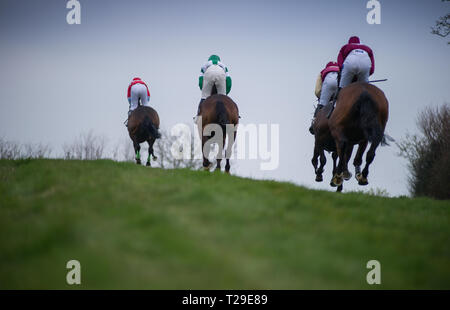 Cotley, blettes, Somerset, Royaume-Uni. Mar 31, 2019. De l'action de recherche de Taylor Greenslade Mens Ouvrir la race, à la recherche de Cotley Point-to-Point réunion de courses. Crédit : David Partridge/Alamy Live News Banque D'Images