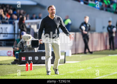 Hanovre, Allemagne. Mar 31, 2019. Hanovre 96's entraîneur en chef Thomas Doll réagit au cours d'un match de Bundesliga allemande entre Hanovre 96 et le FC Schalke 04, à Hanovre, en Allemagne, le 31 mars 2019. Hanovre 96 a perdu 0-1. Crédit : Kevin Voigt/Xinhua/Alamy Live News Banque D'Images