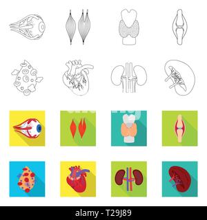 Muscle dorsal,oeil,os,sang,coeur,rein,oeil,,organes,moelle,plasma,tendon,,cardiologie,urinaire cornée,os,tissus,ligament,cell,haricots,cardiovasculaire blessures,couches,couvrir,body,structure,transplantation,system,meubles,,don,biologie,scientifique,recherche,laboratoire,Anatomie interne d'organes,médical,des,santé,,set,icône,,illustration,collection,isolé,design,graphisme,élément vecteur vecteurs,signer , Illustration de Vecteur