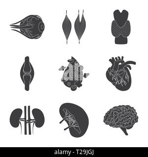 Muscle dorsal,oeil,os,sang,coeur,rein,cerveau,oeil,organes,,moelle,plasma,tendon,cardiologie,esprit,urinaire cornée,tissu,os,ligament,cell,cardiovasculaire,haricots,renseignement,dommage,couches,couvrir,body,de,,laboratoire d'organes internes,anatomie,médical,des,santé,biologie,scientifique,,set,icône,,illustration,collection,isolé,design,graphisme,élément,signer,Black,de simples vecteurs vecteur , Illustration de Vecteur