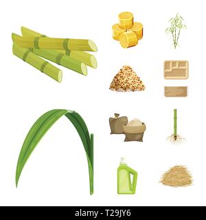 Stick,piece,bush,carton,sac,feuilles,root,ménage,la bagasse,cube,jus,palm,vert,container,granulé de sable,produits chimiques,Culture,standard,brun,douceur,croissance etuve jagré organiques, la matière, la canne à sucre,sucre,canne,terrain,plantes,DE,plantation,ferme,agriculture,saccharose,technology,set,icône,,illustration,collection,isolé,design,graphisme,élément signe,caricature,couleur,vecteurs vecteur , Illustration de Vecteur