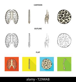 Nervure, colonne vertébrale,fémur,,fibre,cage,chiropratique,osseuses,sain,rx,base,jambe,scientifique,le corps,la colonne vertébrale,Genou,musculaires ostéoporose,tibia,,épithélium sternum,posture,péroné,épiderme,sternum,joints,tendon,mouvement,calcium cellule,chirurgie,dommage,la médecine,clinique,biologie,médical,os,,squelette anatomie,des,organes,,set,icône,,illustration,collection,isolé,design,graphisme,élément vecteur vecteurs,signer , Illustration de Vecteur