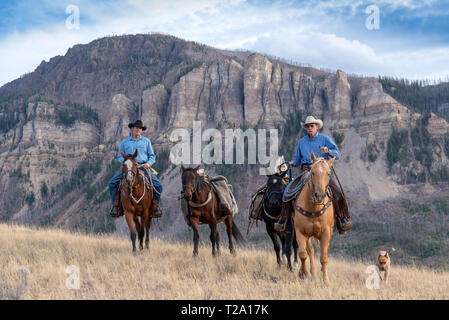 American cowboys équitation dans le haut pays du Wyoming, USA Banque D'Images