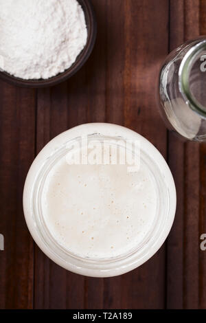 Des bubbly levain fermenté, un mélange d'eau et de farine à utiliser comme ferment pour la cuisson du pain, dans un bocal en verre Banque D'Images