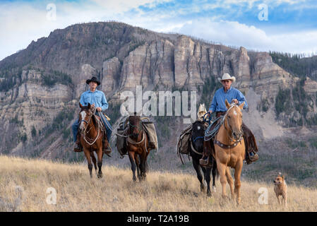 American cowboys équitation dans le haut pays du Wyoming, USA Banque D'Images