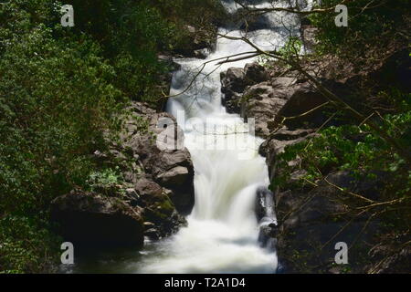 Kumily Falls dans le Tamil Nadu Banque D'Images