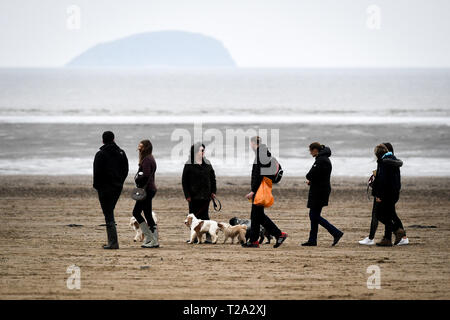 Les promeneurs de chiens sur la plage à Weston-super-Mare. Banque D'Images