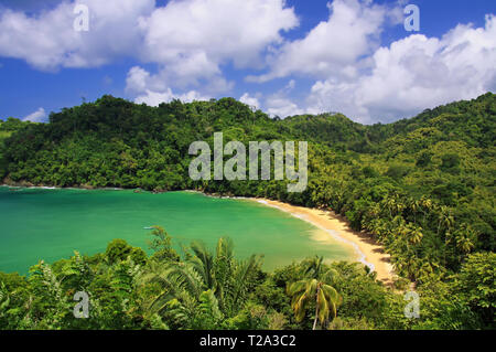 Sommaire de l'Englishman's Bay (Tobago, West Indies) près de Castara Banque D'Images