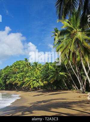 Englishman's Bay (Tobago, West Indies) près de Castara Banque D'Images