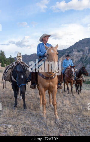 American cowboys équitation dans le haut pays du Wyoming, USA Banque D'Images