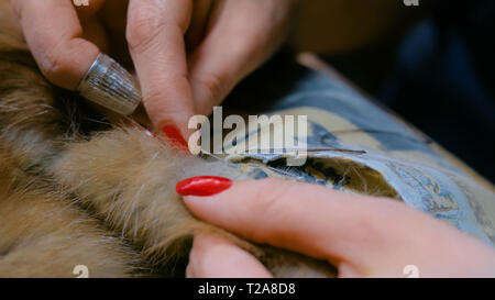 Manteau de fourrure réparation sur mesure Banque D'Images
