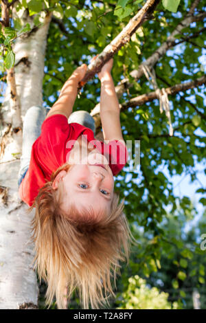 Fille d'âge élémentaire accrochée à une branche d'arbre tout en jouant dans un jardin d'été - la sécurité des enfants à risque ou concept de jeu Banque D'Images