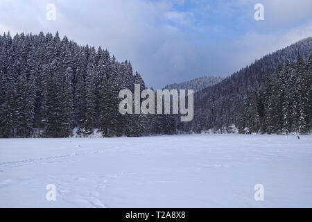 Lac gelé dans les montagnes couvertes de neige, le lac rouge en Roumanie, paysage d'hiver. Banque D'Images