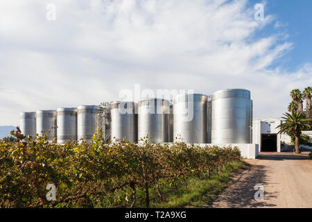 Cuves de fermentation et de vignes sur van Loveren Wine Estate, Robertson Wine Valley, Western Cape Winelands, Route 62, Afrique du Sud Banque D'Images