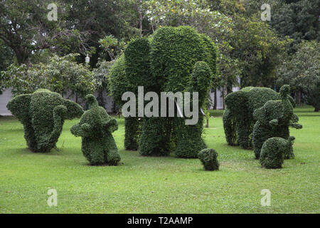 Topiary d'éléphants à Bang Pa-In Palace, Ayutthaya, Thaïlande. Banque D'Images