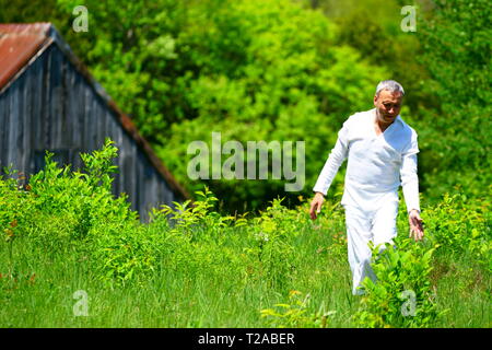 Un homme en habits blancs marcher dans un champ et de toucher les fleurs, entouré de verdure. Banque D'Images