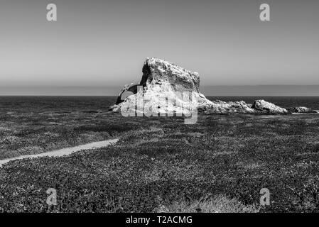 Chemin menant à travers champ vers grand rock formation in ocean, noir et blanc. Banque D'Images