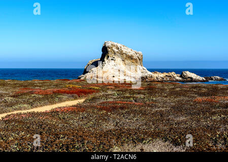 Chemin menant à travers champ vers grand rock formation dans l'océan. Banque D'Images