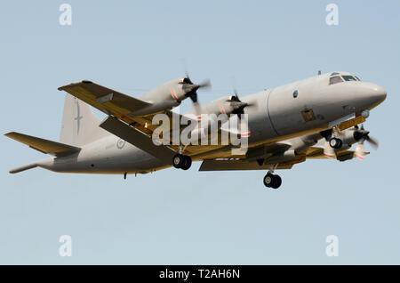 Royal New Zealand Air Force avion Lockheed P-3 Orion, mis à niveau par L-3 Communications Canada et maintenant désignés comme P-3K2. 5e escadron d'avions de patrouille maritime Banque D'Images