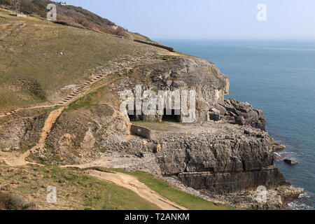 Tilly Caprice des grottes, Parc Durlston Country, Swanage, à l'île de Purbeck, Dorset, Angleterre, Grande-Bretagne, Royaume-Uni, UK, Europe Banque D'Images