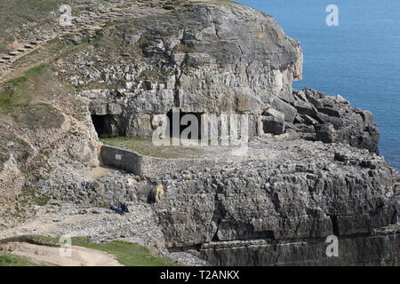 Tilly Caprice des grottes, Parc Durlston Country, Swanage, à l'île de Purbeck, Dorset, Angleterre, Grande-Bretagne, Royaume-Uni, UK, Europe Banque D'Images