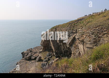 Tilly Caprice des grottes, Parc Durlston Country, Swanage, à l'île de Purbeck, Dorset, Angleterre, Grande-Bretagne, Royaume-Uni, UK, Europe Banque D'Images