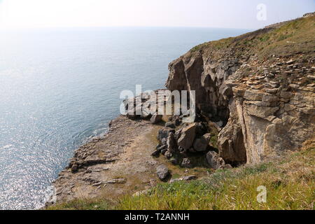 Tilly Caprice des grottes, Parc Durlston Country, Swanage, à l'île de Purbeck, Dorset, Angleterre, Grande-Bretagne, Royaume-Uni, UK, Europe Banque D'Images