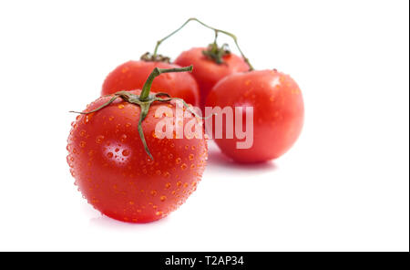 Tomates fraîches sur branche avec des gouttes d'eau de rosée isolated on white Banque D'Images