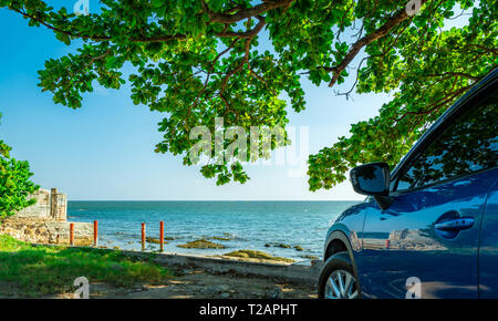 SUV sport bleu voiture garée par la mer tropicale sous Umbrella Tree. Vacances d'été à la plage. Été voyage en voiture. Road Trip. L'industrie automobile. Banque D'Images