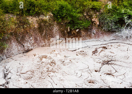 Hot Springs de Te Puia, Rotorua en Nouvelle-Zélande sur l'Île du Nord Banque D'Images