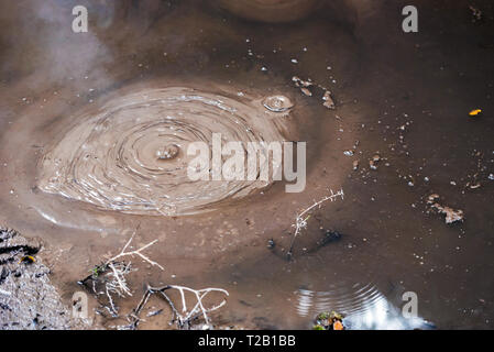 Hot Springs de Te Puia, Rotorua en Nouvelle-Zélande sur l'Île du Nord. Close-up Banque D'Images