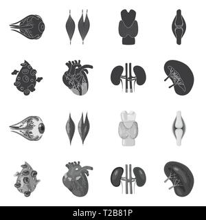 Muscle dorsal,oeil,os,sang,coeur,rein,oeil,,organes,moelle,plasma,tendon,,cardiologie,urinaire cornée,os,tissus,ligament,cell,haricots,cardiovasculaire blessures,couches,couvrir,body,structure,transplantation,system,meubles,,don,biologie,scientifique,recherche,laboratoire,Anatomie interne d'organes,médical,des,santé,,set,icône,,illustration,collection,isolé,design,graphisme,élément vecteur vecteurs,signer , Illustration de Vecteur