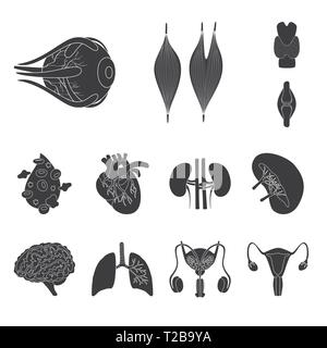 Muscle dorsal,oeil,os,sang,coeur,rein,,cerveau,poumon,oeil,urinaire,,organes moelle,plasma,tendon cardiologie,esprit,,trachée,system,tissu,cornée,os,ligament,cell,haricots,cardiovasculaire,renseignement,recherche,pulmonaire,laboratoire,organe interne anatomie,,médical,des,santé,biologie,scientifique,,set,icône,illustration,isolé,collection,design,élément,graphique,,signer,Black,de simples vecteurs vecteur , Illustration de Vecteur