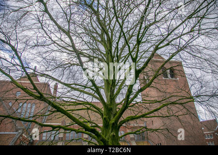 Détail de l'Hofkerk derrière les arbres à Amsterdam aux Pays-Bas 2019 Banque D'Images