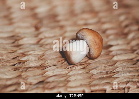 Champignons blanc photographié dans le studio Banque D'Images